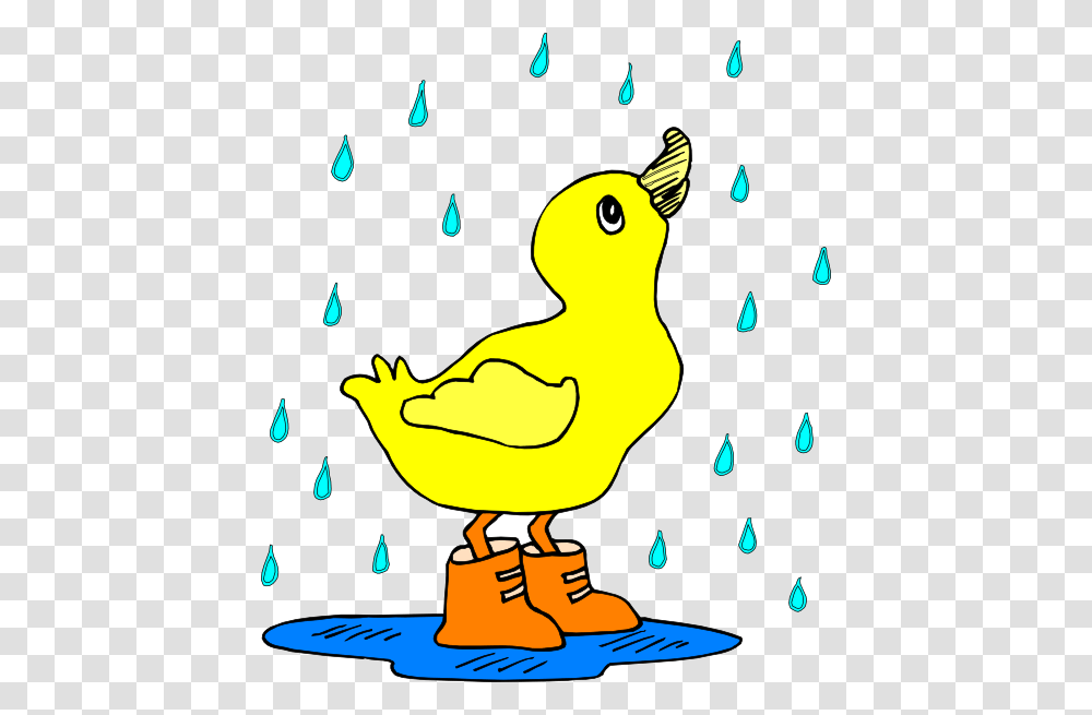 Funny Clipart Rain, Bird, Animal, Fowl Transparent Png