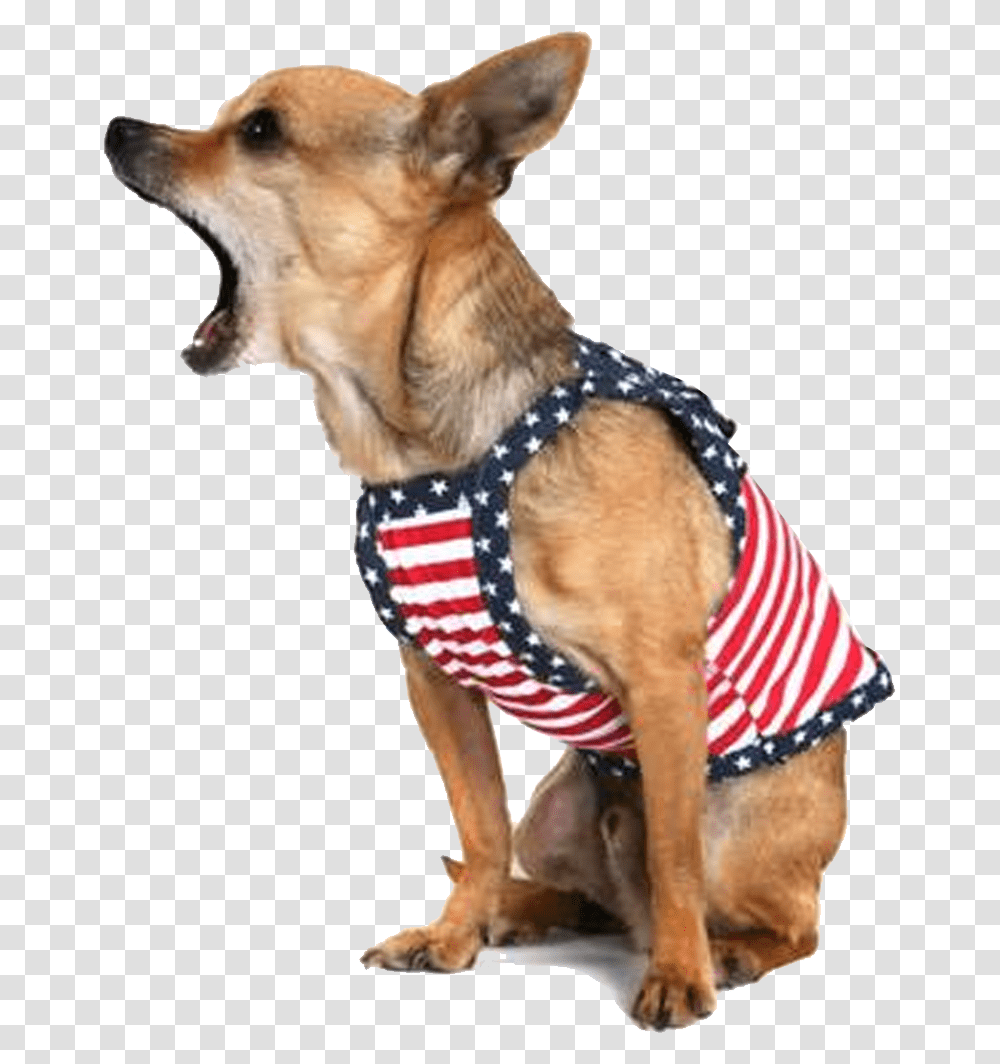 Funny Dog Stop Dog Barking, Harness, Pet, Canine, Animal Transparent Png