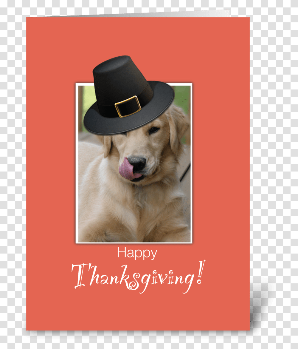 Funny Dog Thanksgiving Humorous Greeting Card Happy Birthday Golden Retriever Gif, Apparel, Hat, Pet Transparent Png