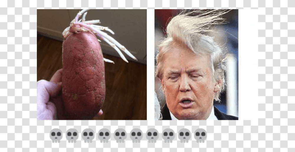 Funny Donald Trump Memes Donald Trump Wearing Wig, Person, Plant, Face, Produce Transparent Png