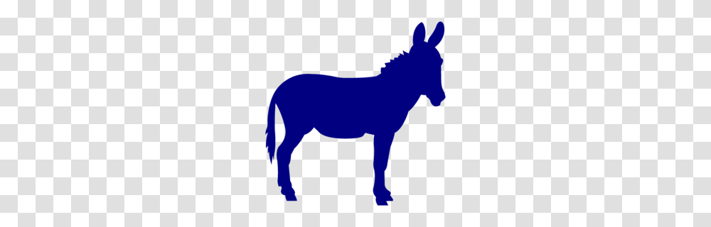 Funny Donkey Clipart, Mammal, Animal, Person, Human Transparent Png