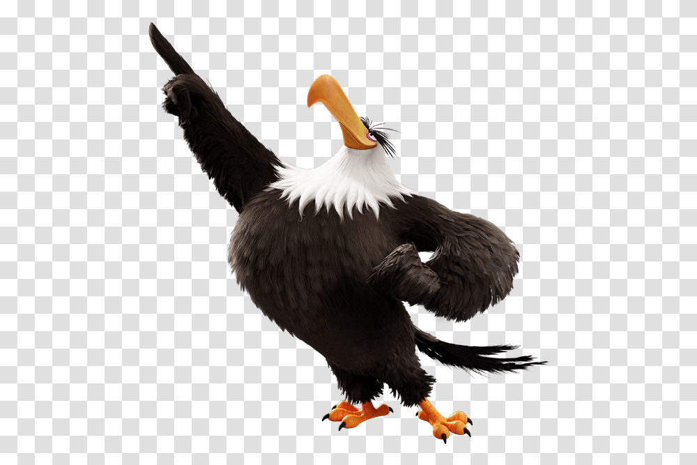 Funny Eagle Free Clipart Image 9 Free Mighty Eagle Angry Birds, Beak, Animal, Chicken, Poultry Transparent Png