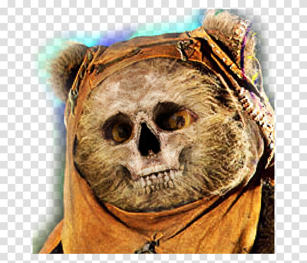 Funny Ewok, Tribe, Goggles, Face, Head Transparent Png