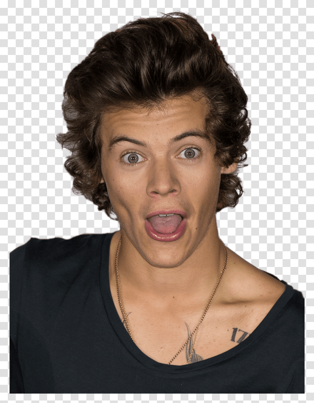 Funny Face Harry Styles, Necklace, Accessories, Person, Pendant Transparent Png
