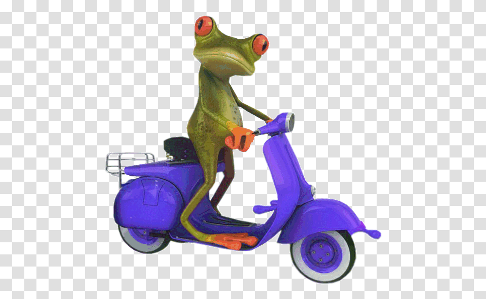 Funny Frog Art Paintings, Toy, Vehicle, Transportation, Scooter Transparent Png