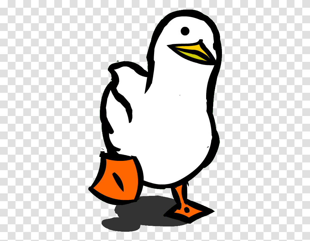 Funny Gifs For Discord Profile Picture Duck Gif, Bird, Animal, Stencil, Penguin Transparent Png