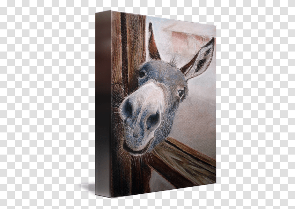 Funny Good Night Donkey, Mammal, Animal, Painting Transparent Png
