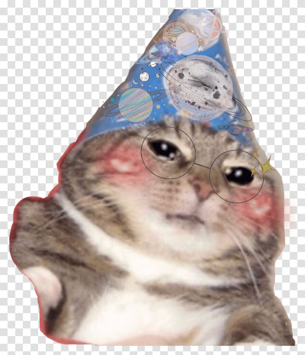 Funny Kitten Hat Birthday Celebration Blush Blushy Think This Is A Motherfucking, Apparel, Glasses, Accessories Transparent Png
