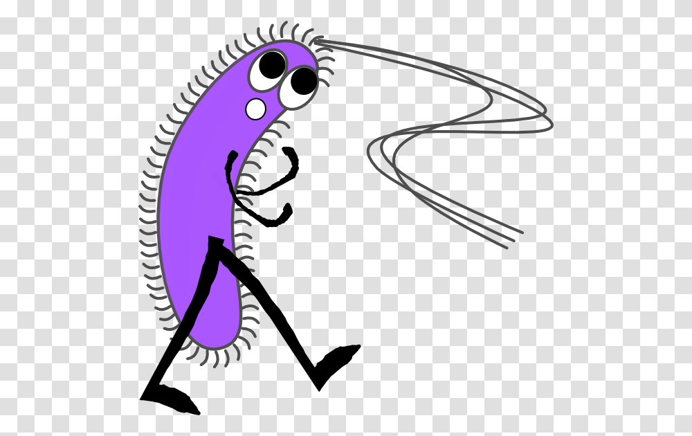 Funny Mouth Gram Negative Bacteria Cartoon, Bow, Animal, Drawing Transparent Png