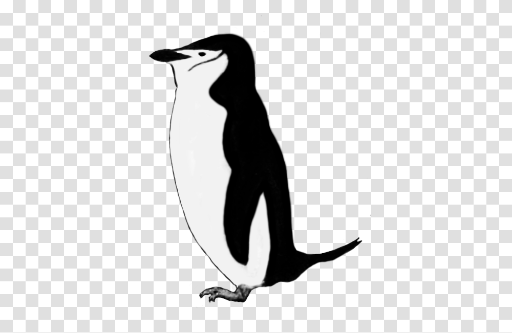 Funny Penguin Clip Art, Bird, Animal, King Penguin Transparent Png