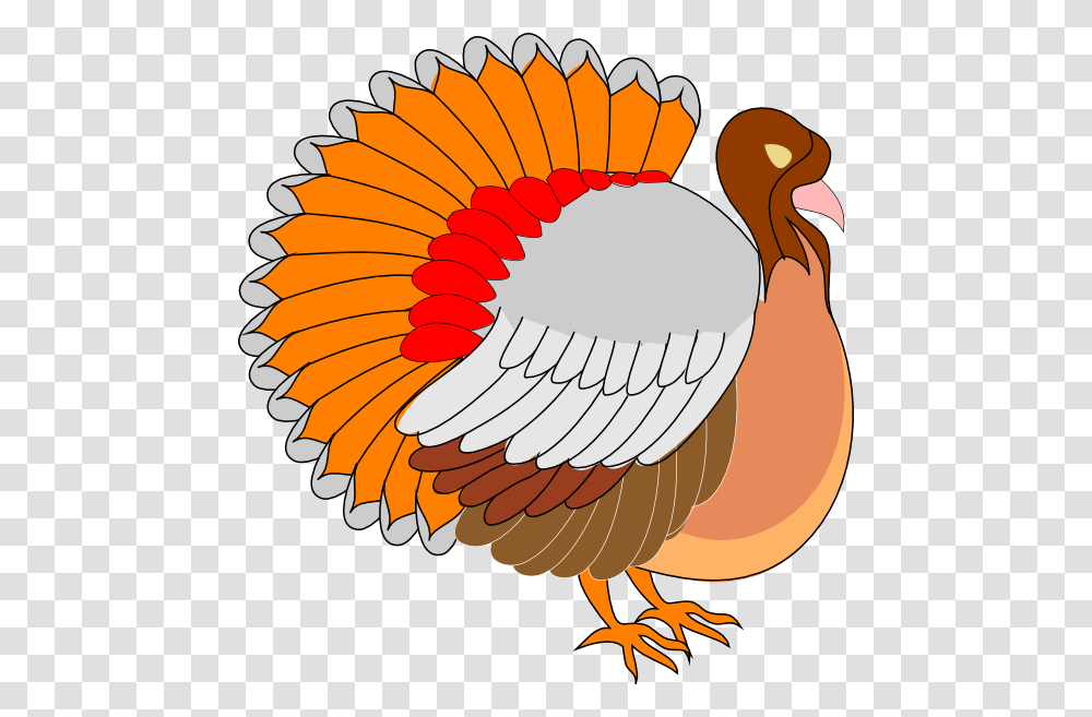 Funny Turkey Clipart, Bird, Animal, Fowl, Poultry Transparent Png