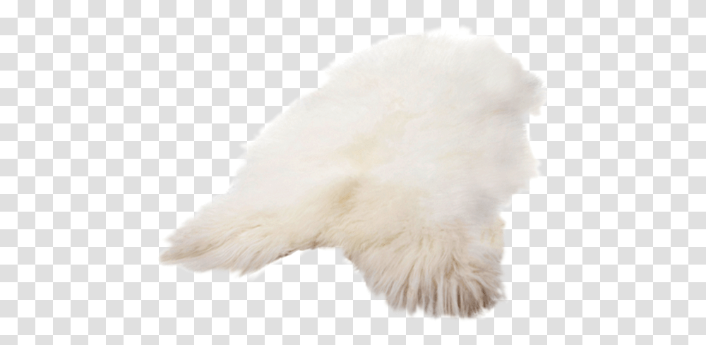 Fur, Bird, Animal, Rug, Polar Bear Transparent Png