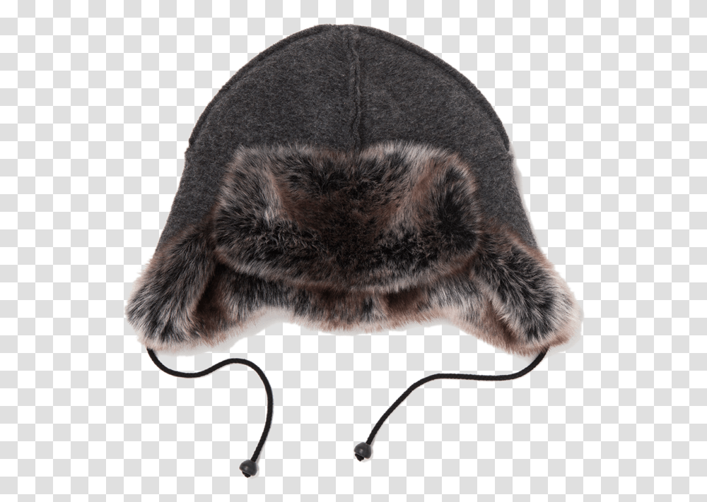 Fur, Cat, Pet, Mammal Transparent Png