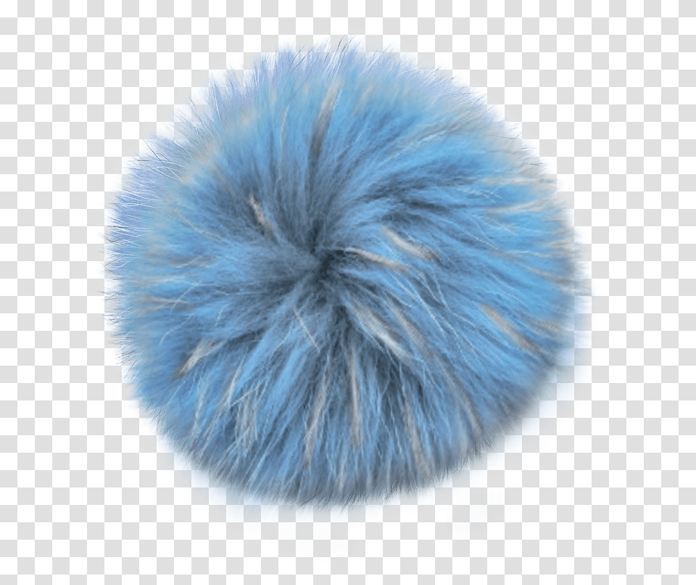 Fur Clothing Blue Pom Pom, Bird, Animal, Fungus Transparent Png