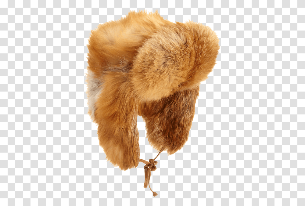 Fur Clothing, Cushion, Heel, Bird, Animal Transparent Png