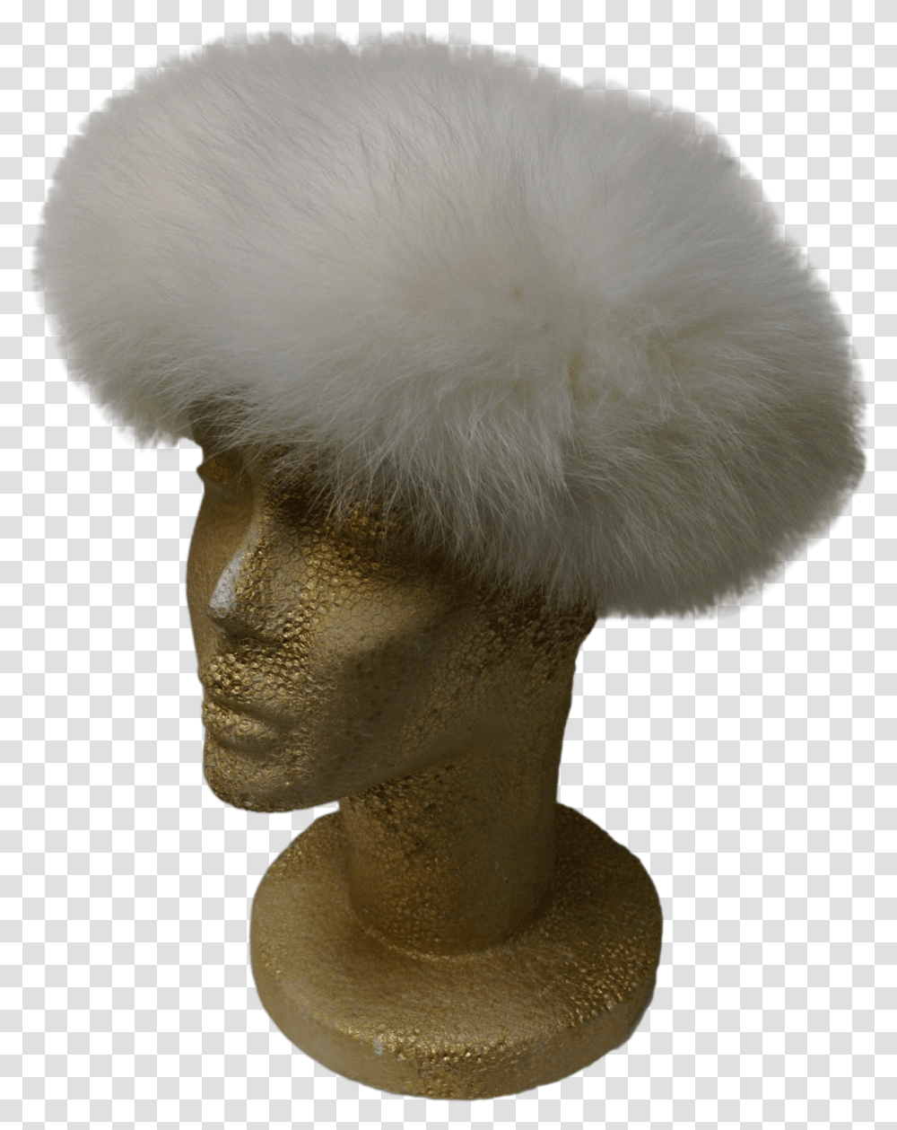 Fur Clothing, Fungus Transparent Png