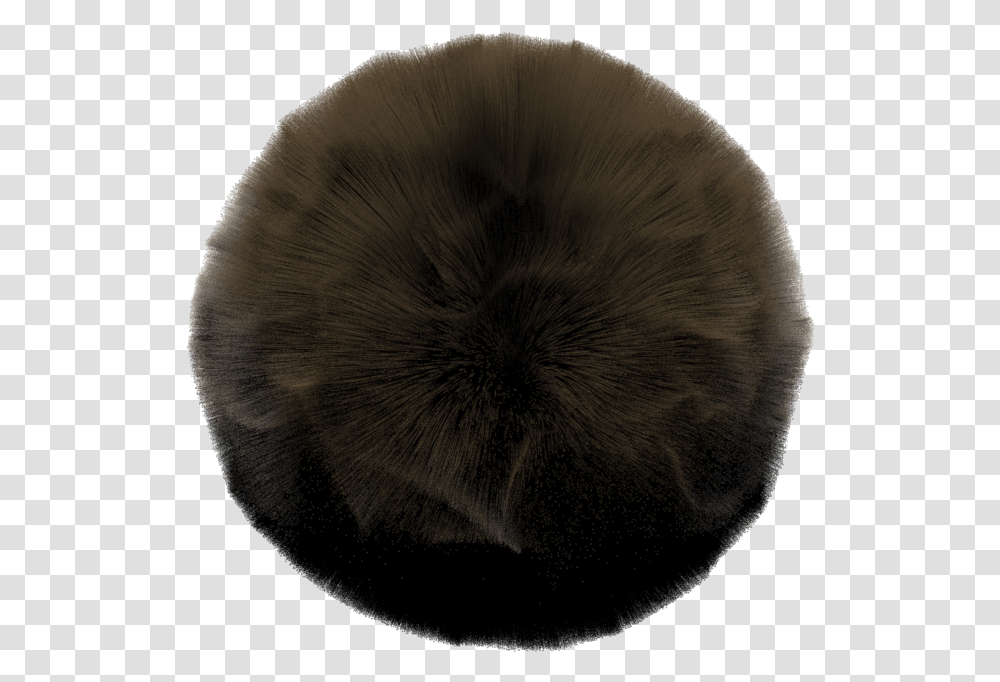 Fur Clothing, Nature, Outdoors, Fungus, Moon Transparent Png