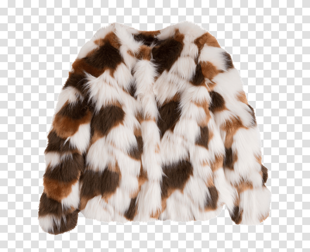 Fur Coat, Cat, Pet, Mammal Transparent Png