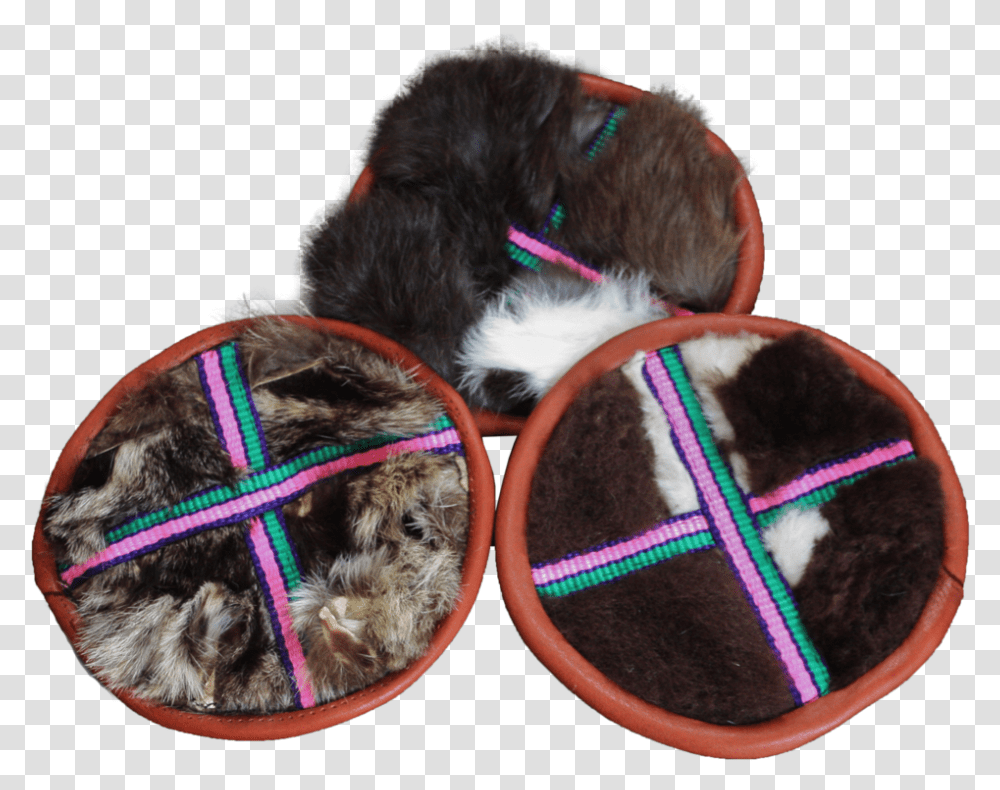 Fur Flinger Dog Toy Download Companion Dog, Pet, Canine, Animal, Mammal Transparent Png