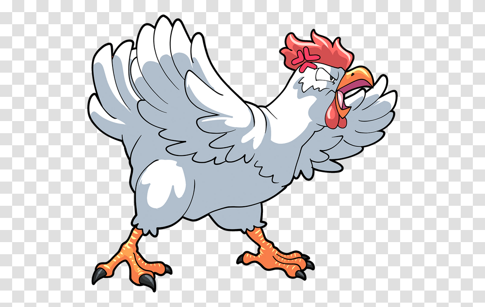 Furious Chicken, Animal, Bird, Poultry, Fowl Transparent Png
