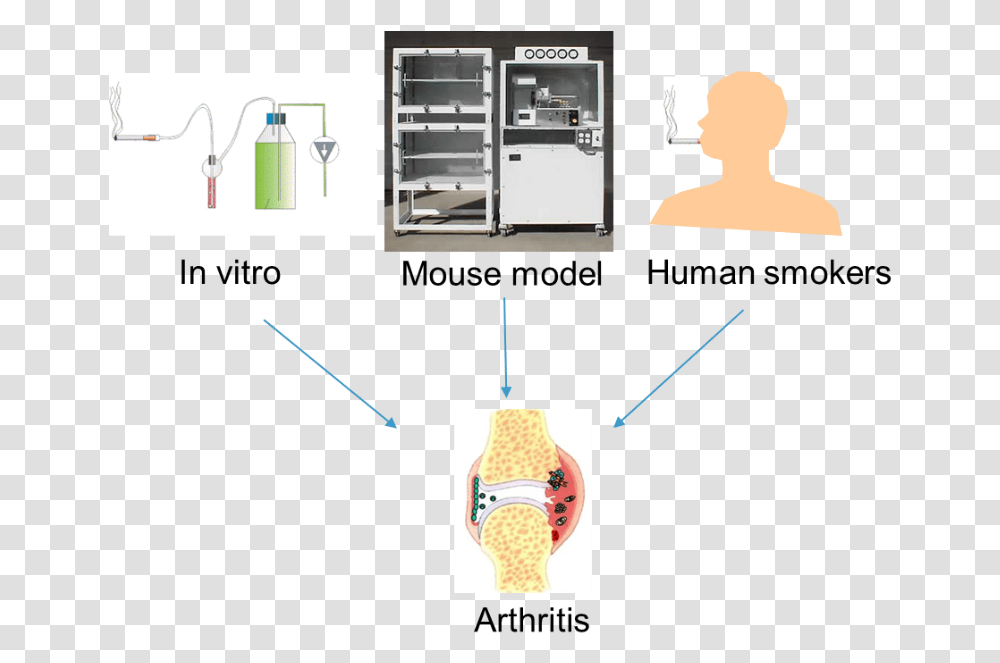 Furniture, Cabinet, Plot, Indoors Transparent Png