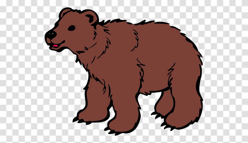 Furry Clipart Brown Bear, Mammal, Animal, Wildlife, Cow Transparent Png