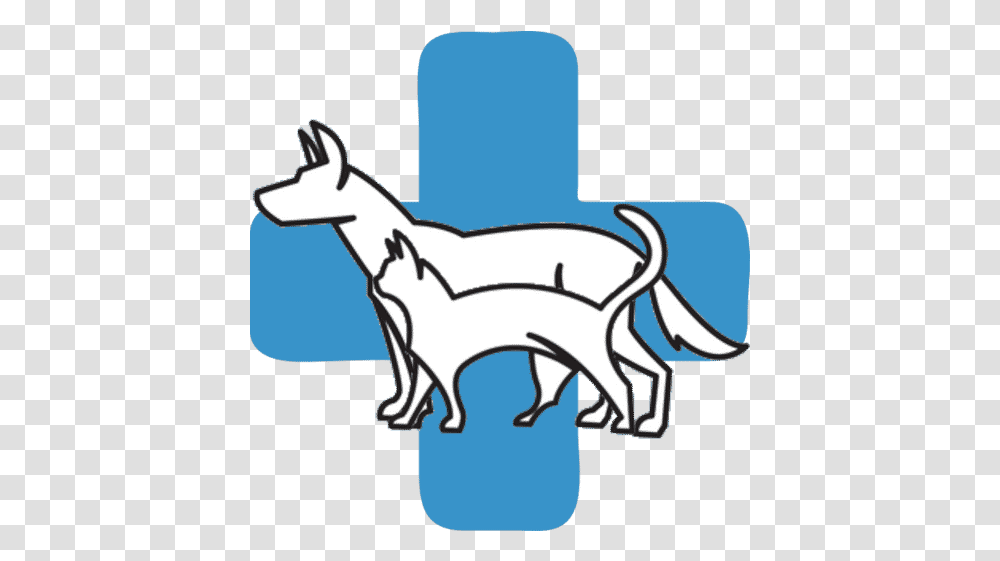 Furry Friends Animal Hospital Vets Near Me Drawing, Mammal, Wildlife Transparent Png