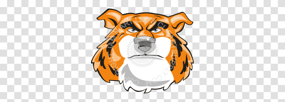 Furry Tiger Head Front, Mammal, Animal, Wildlife Transparent Png