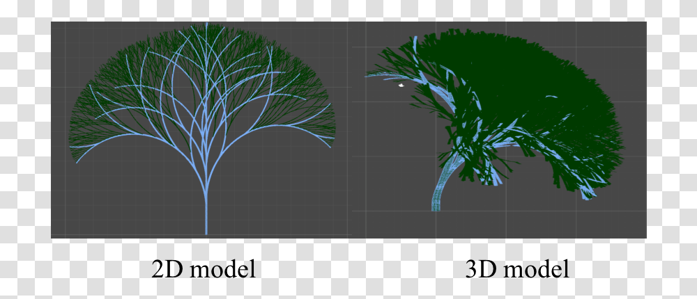 Furthermore The Rotations Can Be Designed In 3d Resulting Palm Tree, Plant, Seasoning, Food, Dill Transparent Png