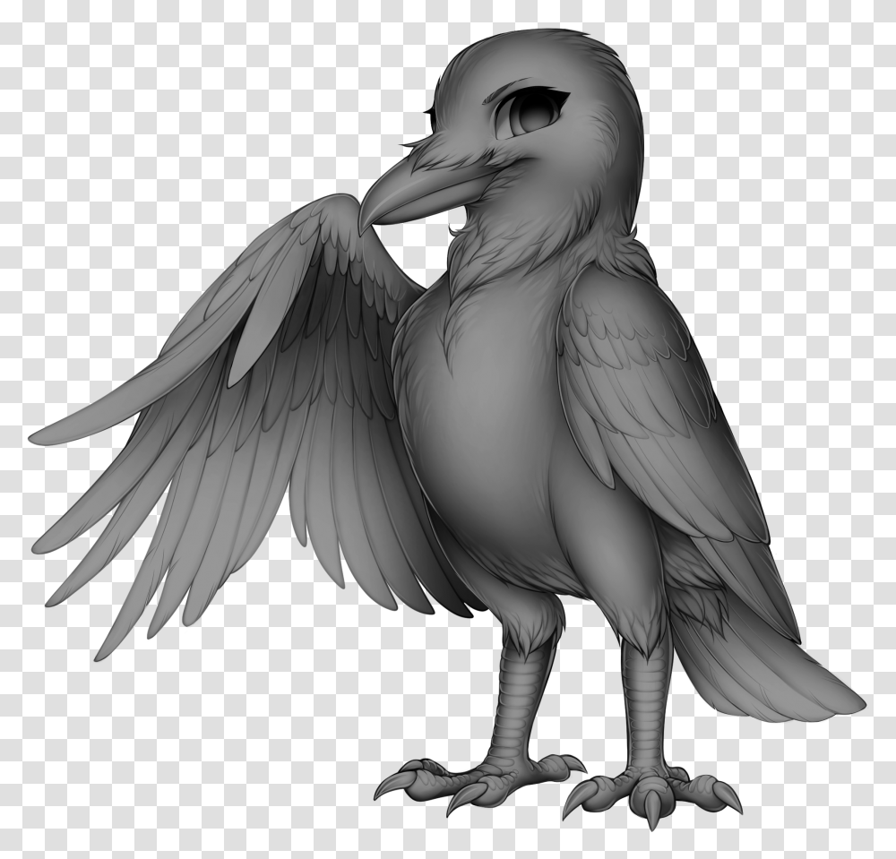 Furvilla Raven Corvid Crows, Bird, Animal, Beak, Vulture Transparent Png