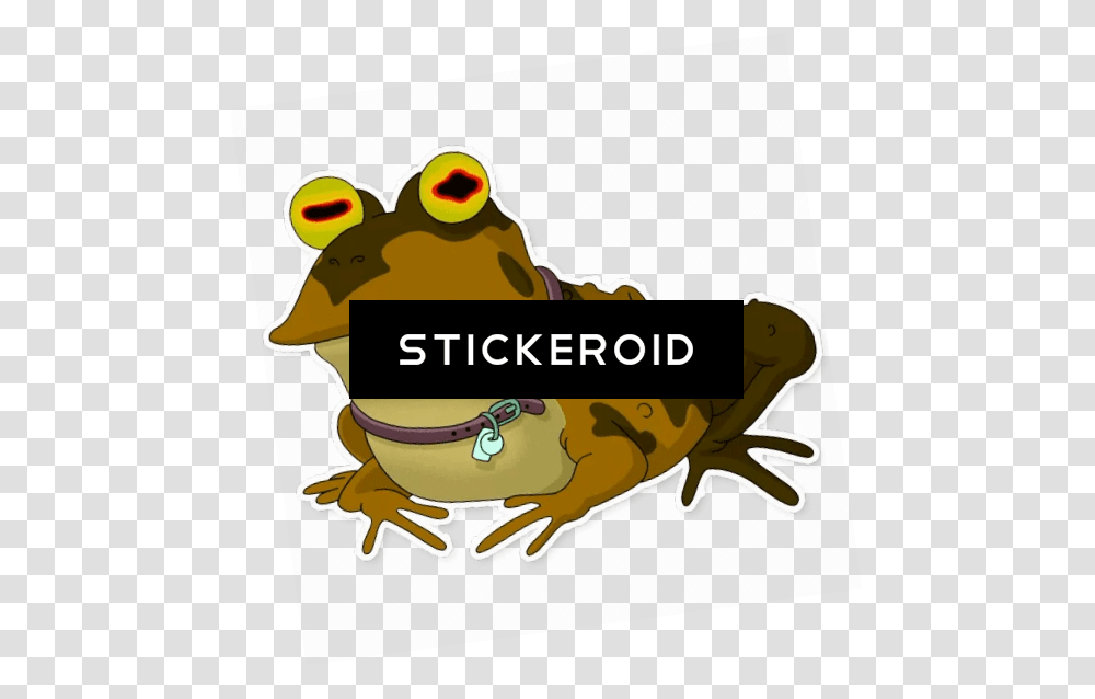 Futurama Frog, Animal, Buffalo, Wildlife Transparent Png