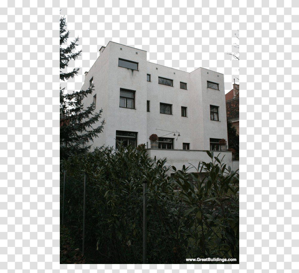 Futuristic Building Steiner House Adolf Loos, Tree, Plant, Fir, Abies Transparent Png