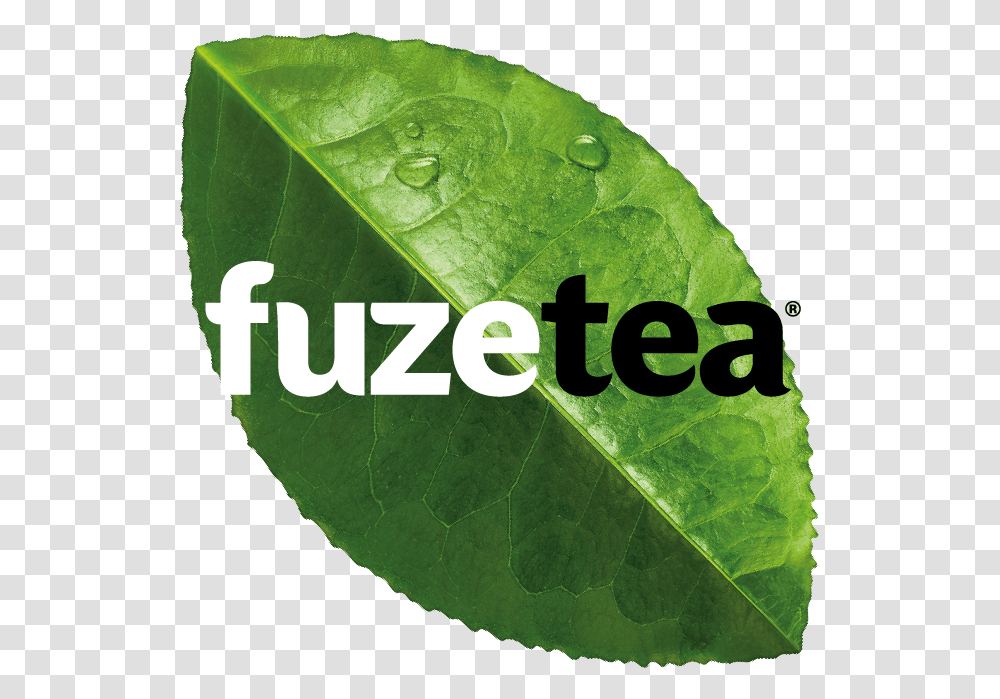 Fuze Tea Varieties Logo Fuze Tea, Leaf, Plant, Green, Veins Transparent Png