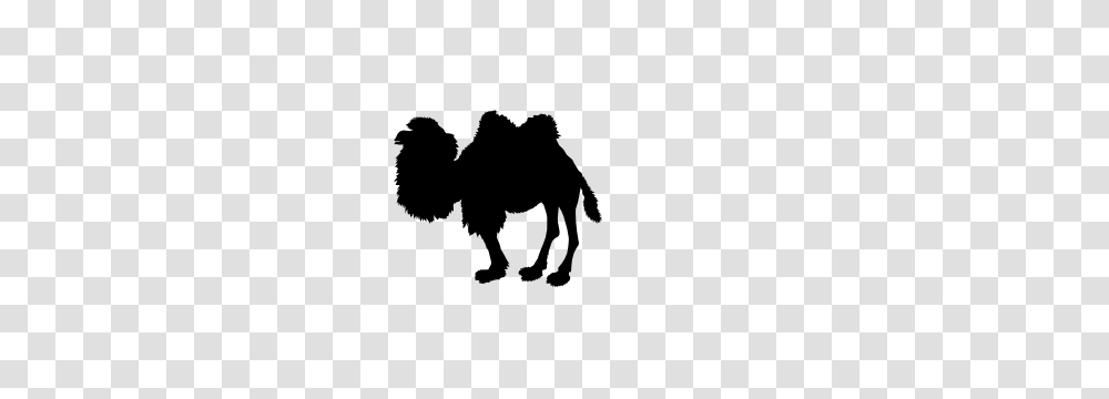 Fuzzy Camel Sticker, Silhouette, Stencil, Cow, Cattle Transparent Png
