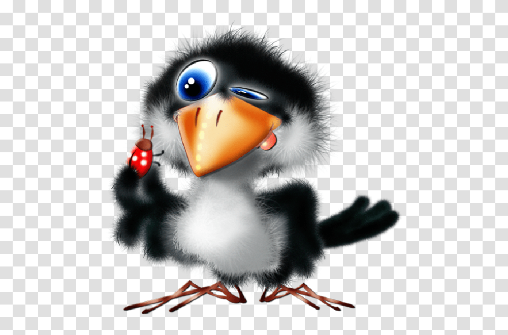 Fuzzy Clipart, Bird, Animal, Beak, Photography Transparent Png