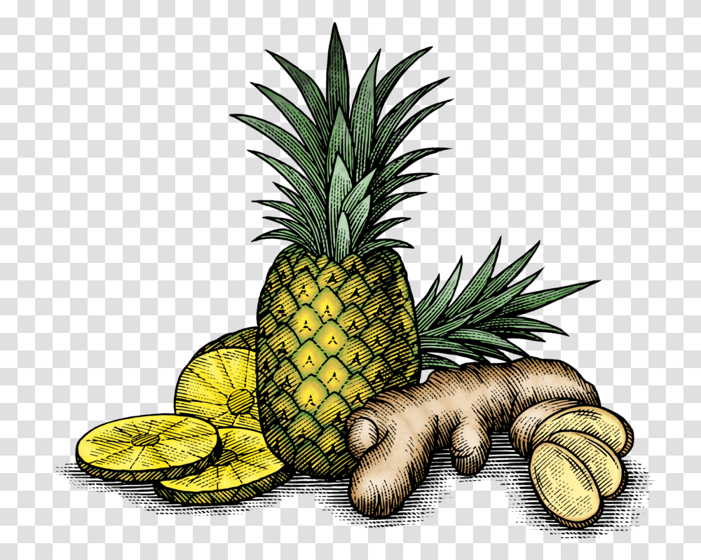 Fv Art 02 Pineapple And Ginger, Plant, Fruit, Food Transparent Png