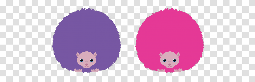 Fwooper Foundation Launches Adopt A Pygmy Puff Campaign, Hair, Face, Balloon, Head Transparent Png