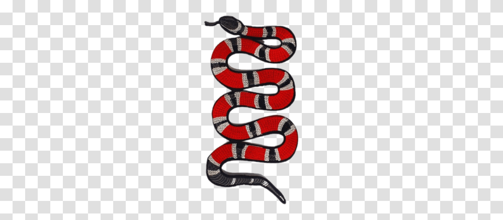 Fye Snake, Reptile, Animal, King Snake Transparent Png