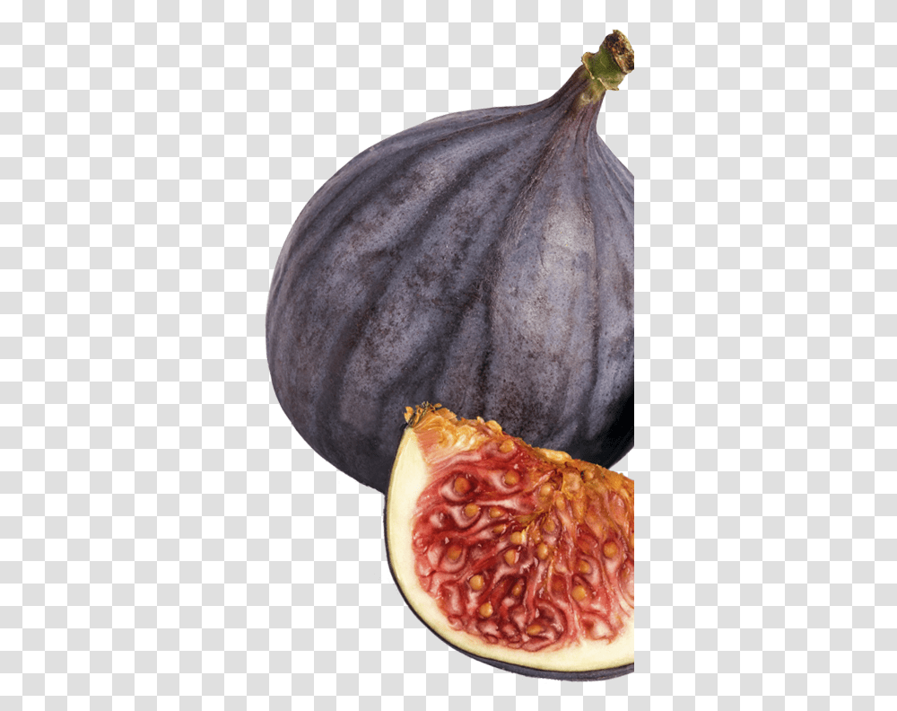 Fynbo Fig Figen Marmelade Jam Hjre Pomegranate, Plant, Fruit, Food, Horse Transparent Png
