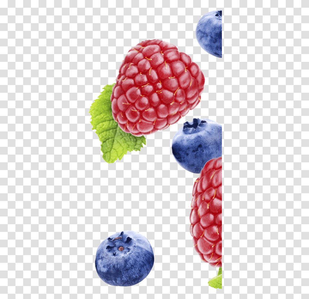 Fynbo Foods Frutti Di Bosco, Raspberry, Fruit, Plant, Blueberry Transparent Png