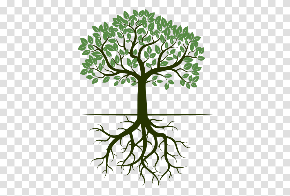 G Amp R Trees Tree With Roots Illustration, Plant Transparent Png