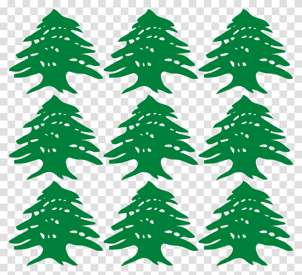 G Flashcards Green Letter G, Tree, Plant, Ornament, Christmas Tree Transparent Png