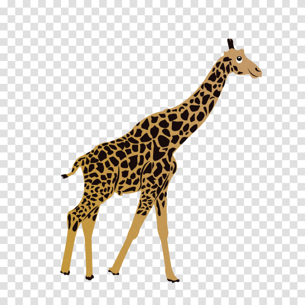 G Giraffe, Wildlife, Mammal, Animal Transparent Png