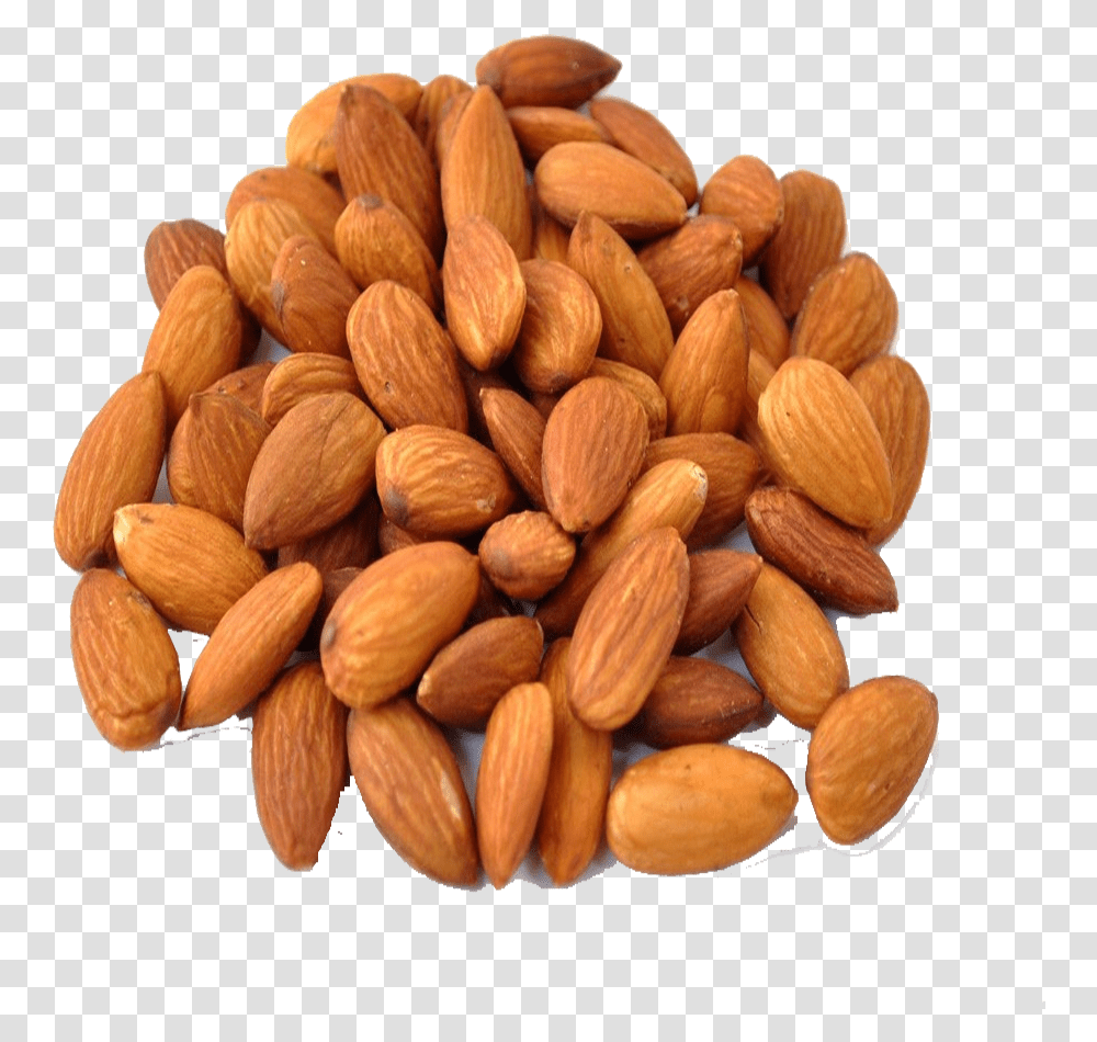 G Of Nuts, Plant, Almond, Vegetable, Food Transparent Png