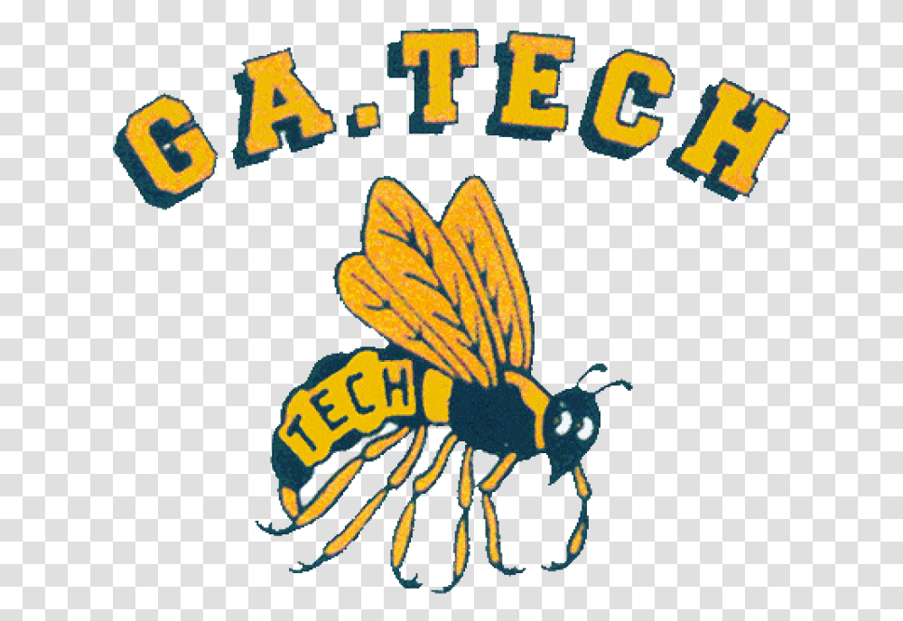 Ga Tech Yellow Jackets Iron Ons Georgia Tech Yellow Jackets Vintage Logo, Wasp, Bee, Insect, Invertebrate Transparent Png