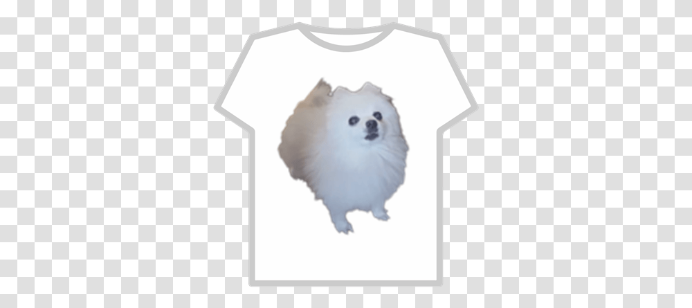 Gabe The Dog Simp T Shirt Roblox, Clothing, Apparel, Eskimo Dog, Pet Transparent Png
