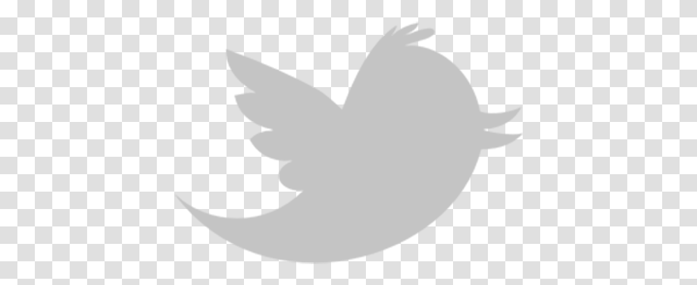 Gabriel Angry Twitter Logo, Bird, Animal, Dove, Pigeon Transparent Png