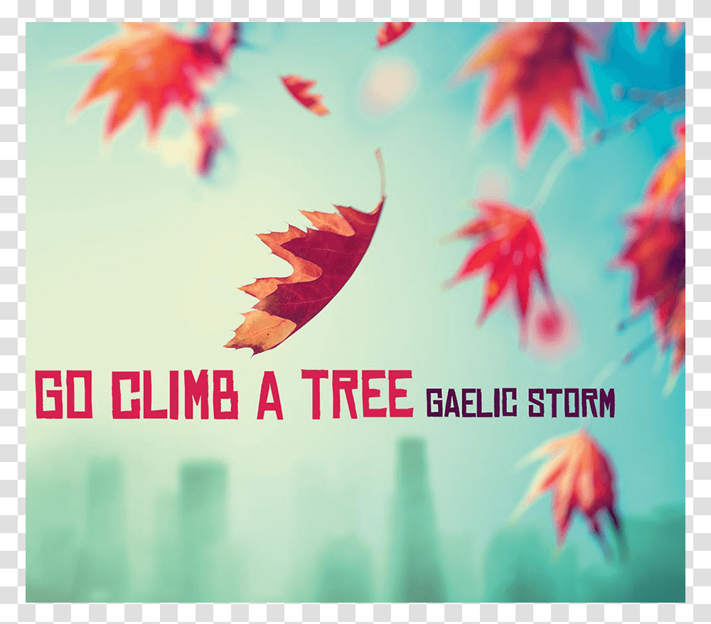 Gaelic Storm Go Climb A Tree, Leaf, Plant, Maple Leaf, Fish Transparent Png