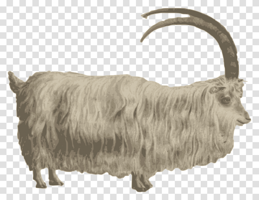 Gafr Mynydd Medium Image Mountain Goat, Mammal, Animal, Sheep, Fungus Transparent Png