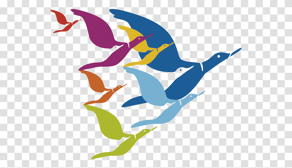 Gaia Education, Bird, Animal Transparent Png